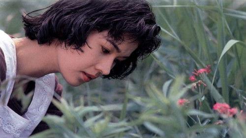 The Eel filmas žiurėti online