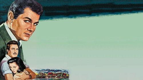 The Midnight Story filmas žiurėti online