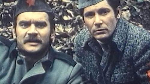 The Pine Tree in the Mountain filmas žiurėti online