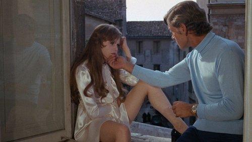 Rabbit in the Pit filmas žiurėti online