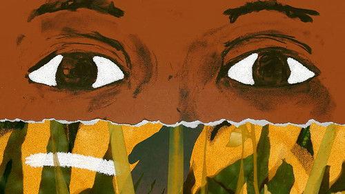 Olivia y las nubes filmas žiurėti online