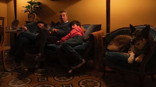 Come ti muovi, sbagli filmas žiurėti online