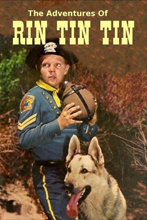 The Adventures of Rin Tin Tin filmas online