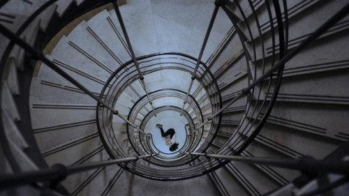 Inès filmas žiurėti online