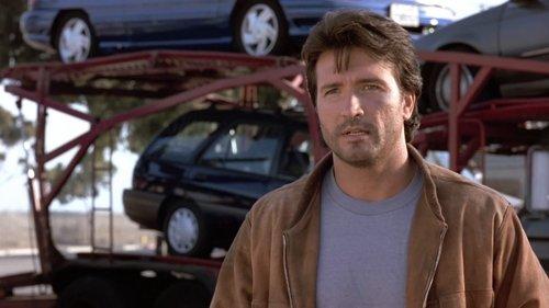 The Perfect Weapon filmas žiurėti online