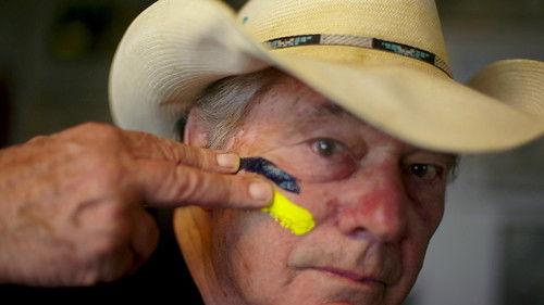 The Last Movie Painter filmas žiurėti online