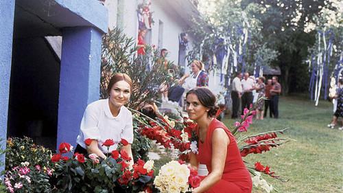 She Kept Asking for the Moon filmas žiurėti online