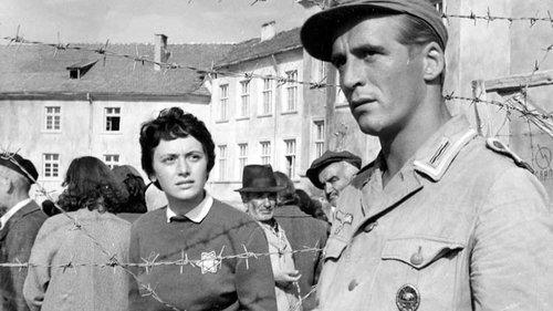 Sterne filmas žiurėti online