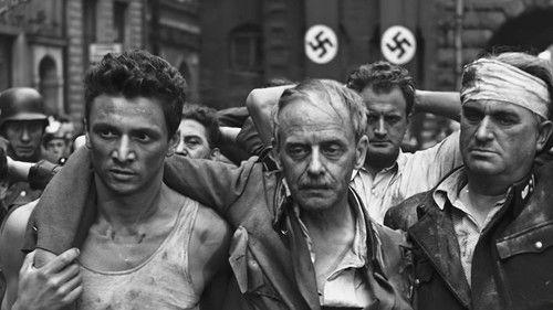 Free City filmas žiurėti online