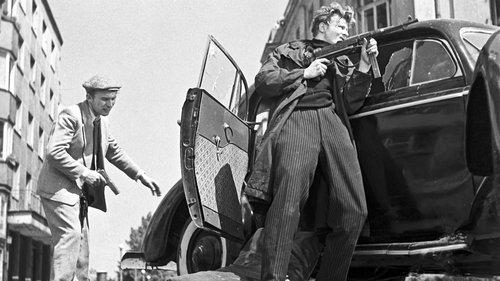 Zamach filmas žiurėti online