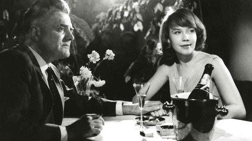 Tulipunainen kyyhkynen filmas žiurėti online