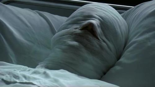 Dealer filmas žiurėti online