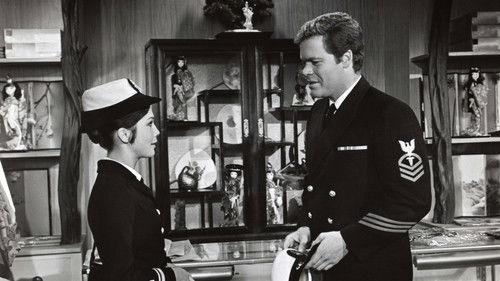 Nobody's Perfect filmas žiurėti online