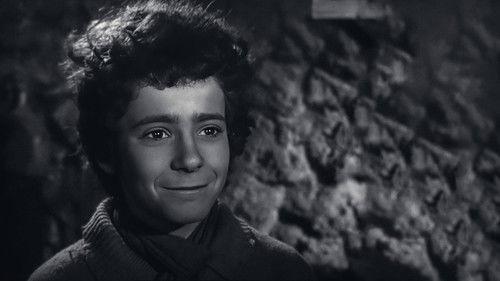 Savage Triangle filmas žiurėti online