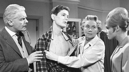 A French Mistress filmas žiurėti online