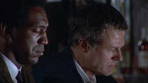 Hickey & Boggs filmas žiurėti online