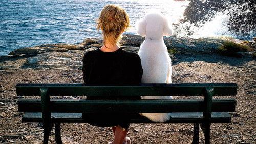 The Merry Widow filmas žiurėti online