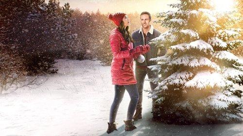 The Christmas Promise filmas žiurėti online