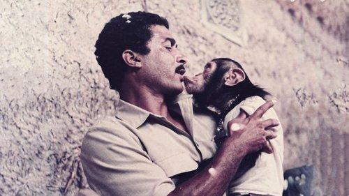 Four On An Official Mission filmas žiurėti online