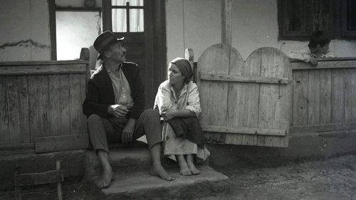 The Moromete Family filmas žiurėti online