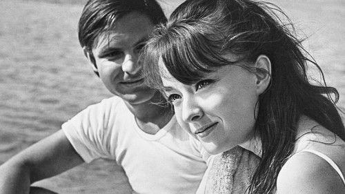 The Lovers filmas žiurėti online