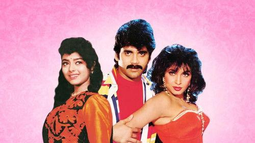 Hello Brother filmas žiurėti online