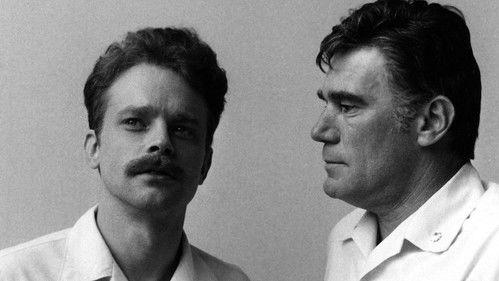 Sergeant Matlovich vs. the U.S. Air Force filmas žiurėti online