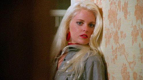 Eleven days, eleven nights 2 filmas žiurėti online