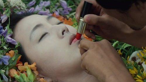 Declaration of Fools filmas žiurėti online