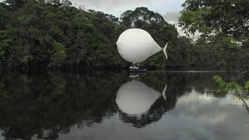 The White Diamond filmas žiurėti online