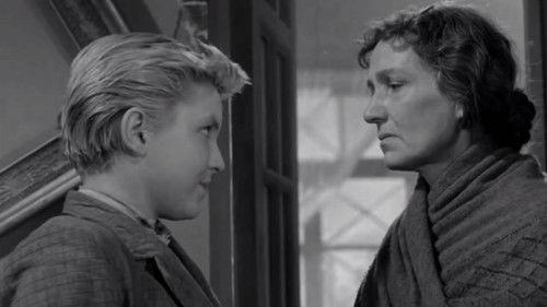 Любой ценой filmas žiurėti online