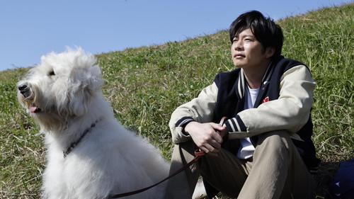 Haw filmas žiurėti online