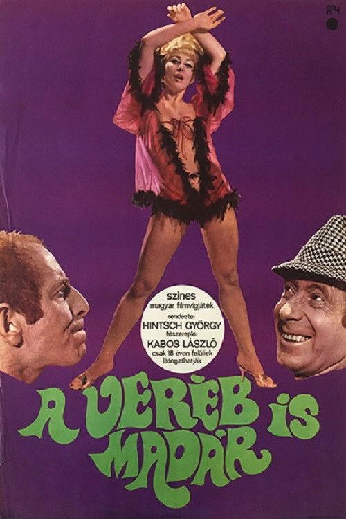 Sparrows Are Birds Too filmas online