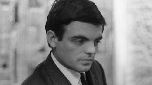 Before Tonight Is Over filmas žiurėti online