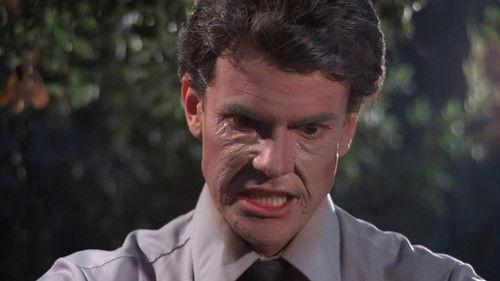 Don't Go Near the Park filmas žiurėti online