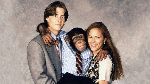 The Barefoot Executive filmas žiurėti online