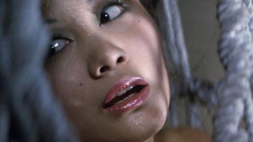 Hanzo the Razor: Sword of Justice filmas žiurėti online