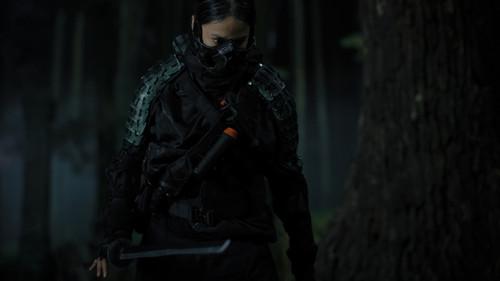 The Shadow Strays filmas žiurėti online