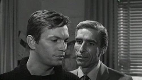 Call 22-22 Lieutenant Sheridan filmas žiurėti online