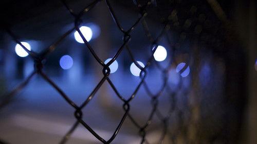 Night Crossing filmas žiurėti online