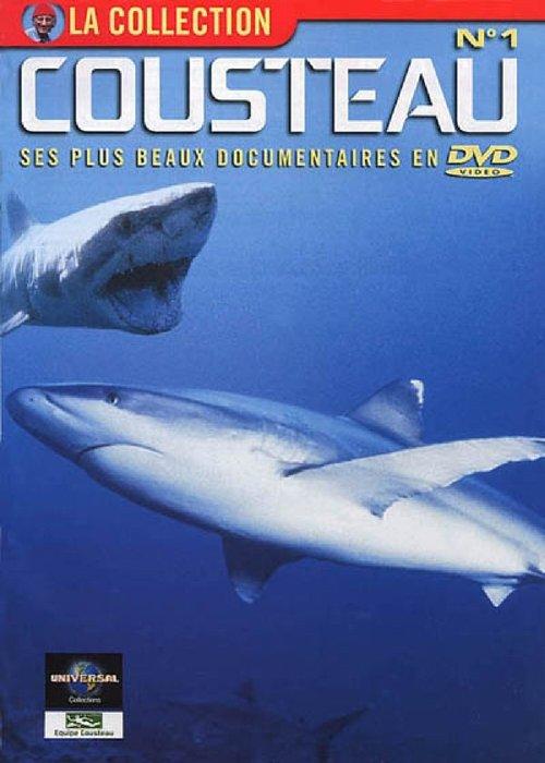 L’Odyssée sous-marine de l'équipe Cousteau filmas online