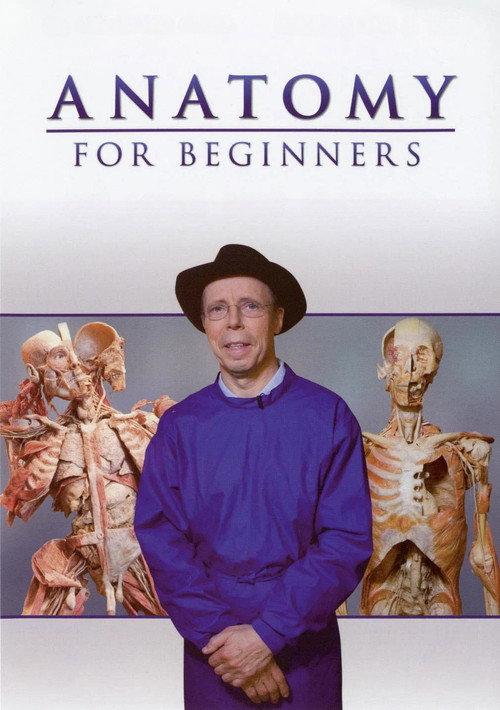Anatomy for Beginners filmas online