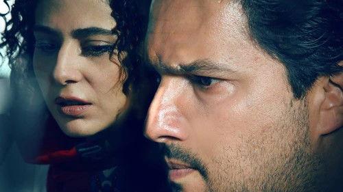 The Girl's House filmas žiurėti online