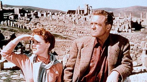 South of Algiers filmas žiurėti online