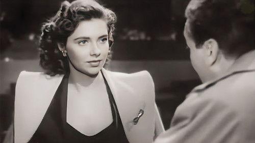 Lady in the Fog filmas žiurėti online