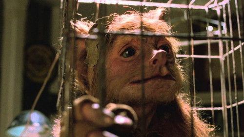 A Gnome Named Gnorm filmas žiurėti online