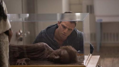 William filmas žiurėti online