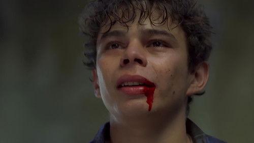 Who Killed Pixote? filmas žiurėti online