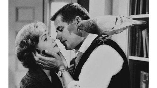 The Gazebo filmas žiurėti online