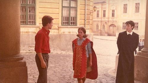 The Confrontation filmas žiurėti online